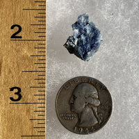 Benitoite, Neptunite, Natrolite, & Crossite-Moldavite Life