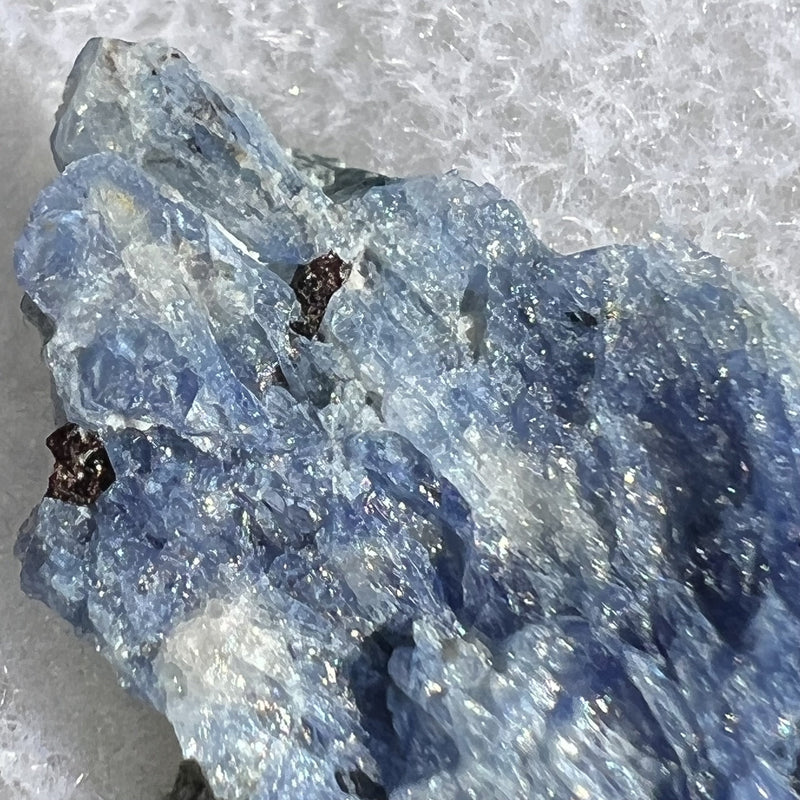 Benitoite, Neptunite, Natrolite, & Crossite-Moldavite Life