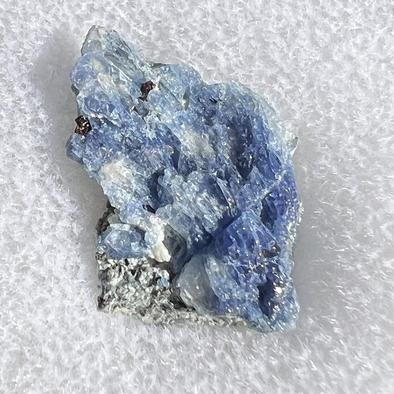 Benitoite, Neptunite, Natrolite, & Crossite-Moldavite Life