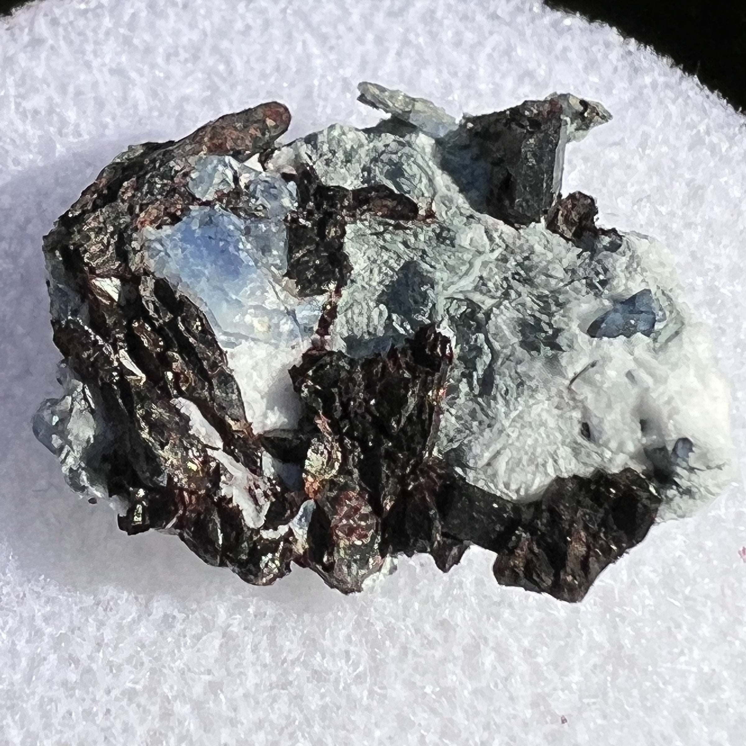 Benitoite, Neptunite, Natrolite, & Crossite-Moldavite Life