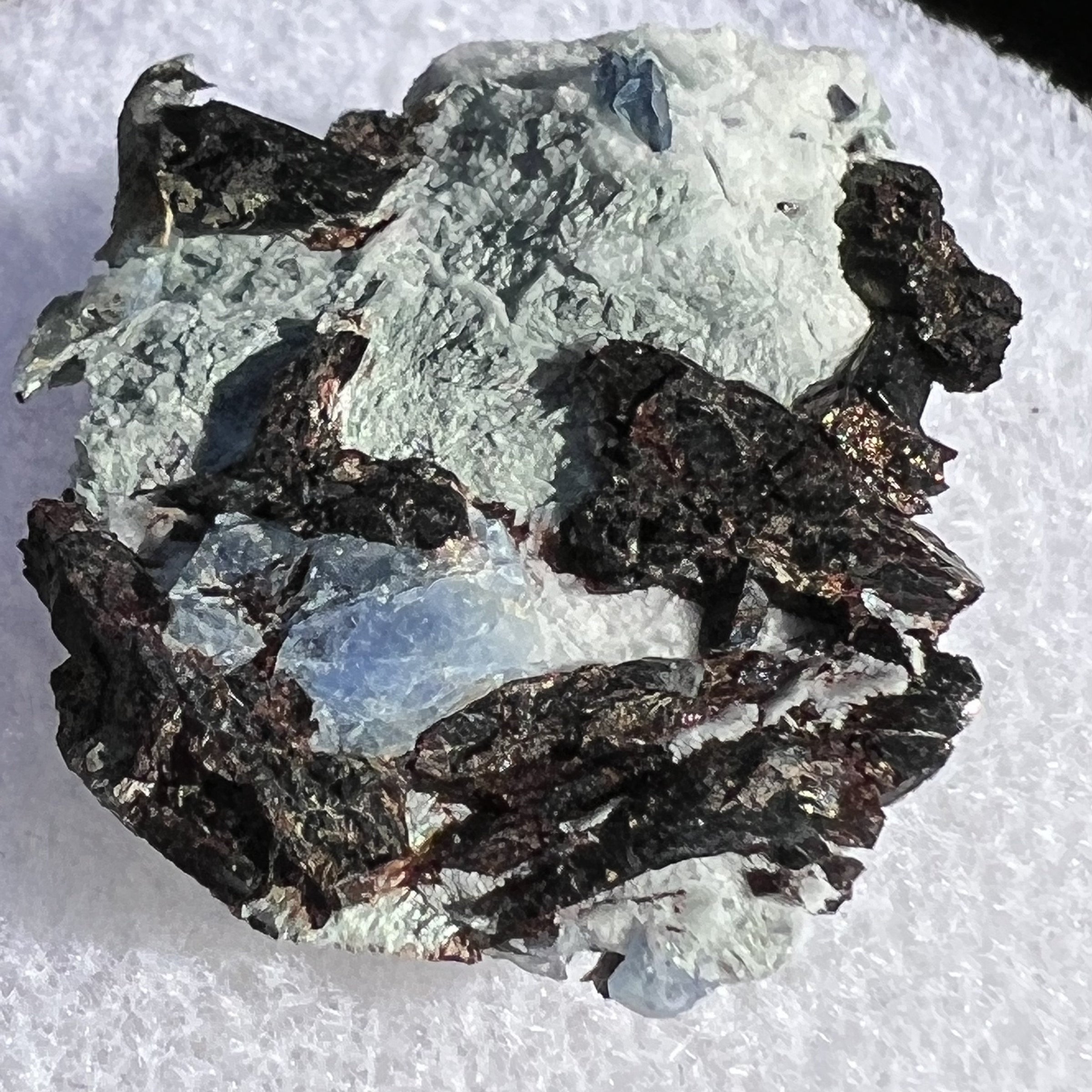 Benitoite, Neptunite, Natrolite, & Crossite-Moldavite Life