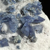 Benitoite, Neptunite, Natrolite, & Crossite-Moldavite Life