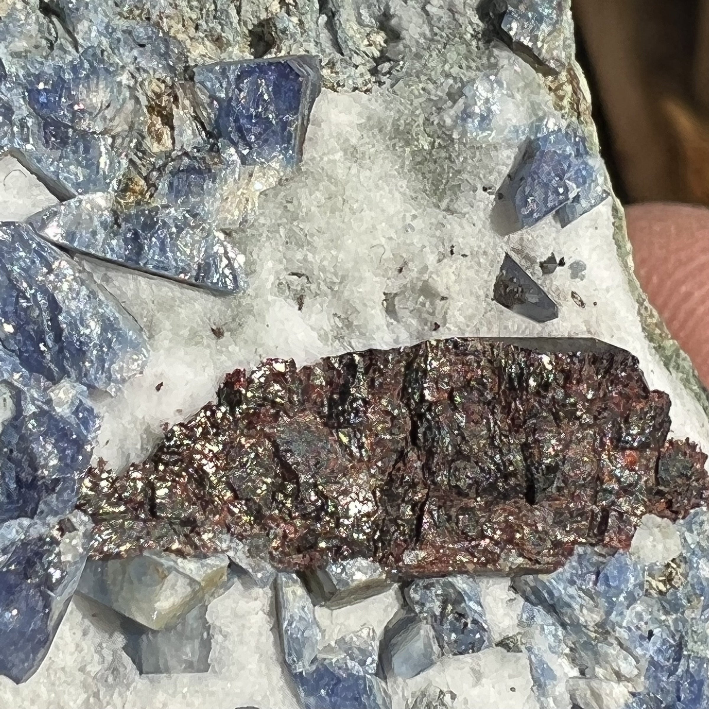 Benitoite, Neptunite, Natrolite, & Crossite-Moldavite Life