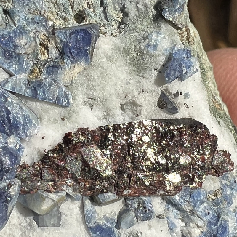 Benitoite, Neptunite, Natrolite, & Crossite-Moldavite Life