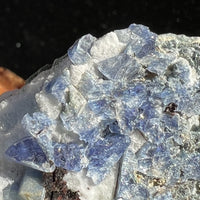 Benitoite, Neptunite, Natrolite, & Crossite-Moldavite Life