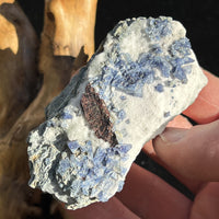 Benitoite, Neptunite, Natrolite, & Crossite-Moldavite Life