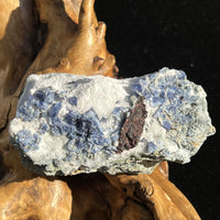 Benitoite, Neptunite, Natrolite, & Crossite-Moldavite Life