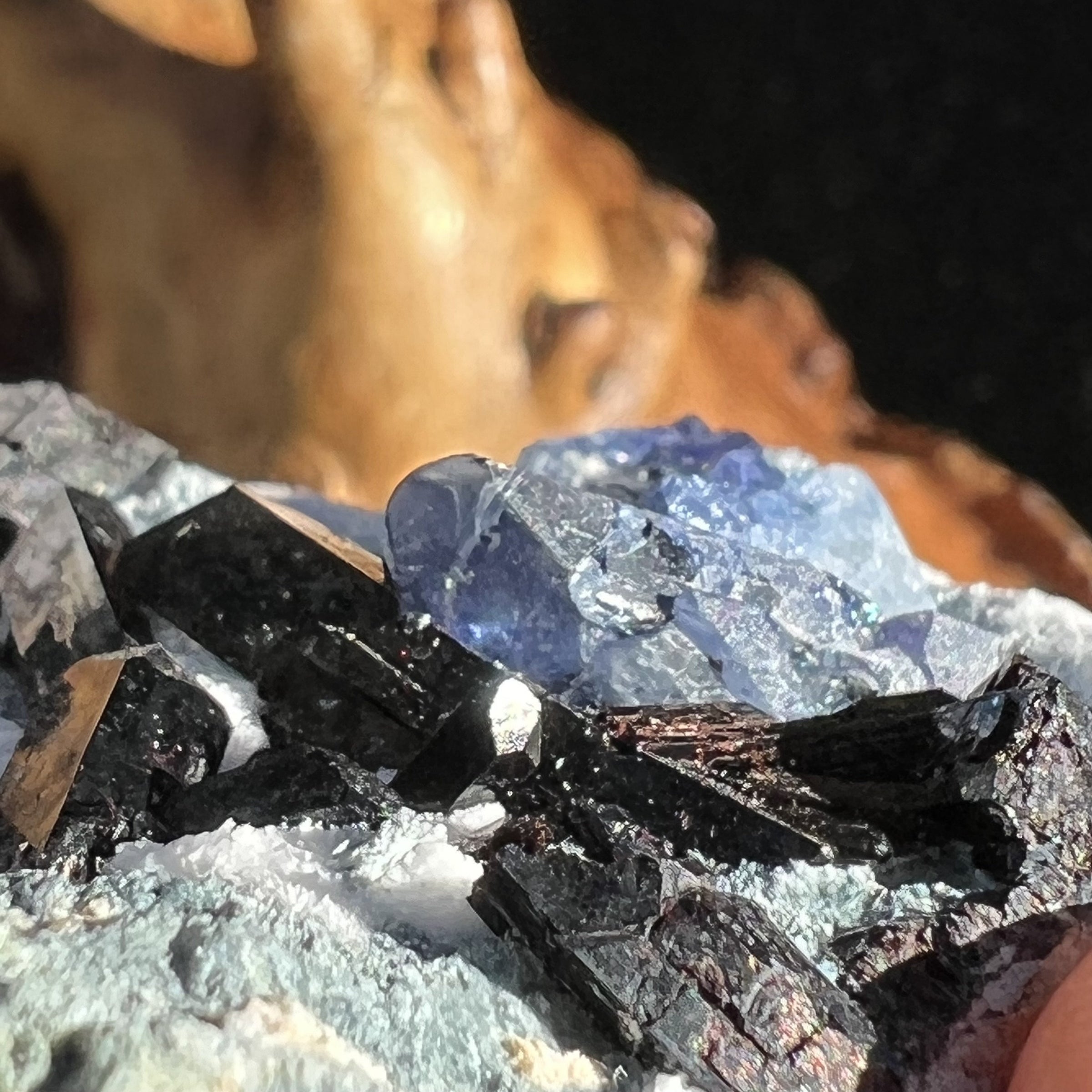 Benitoite, Neptunite, Natrolite, & Crossite-Moldavite Life