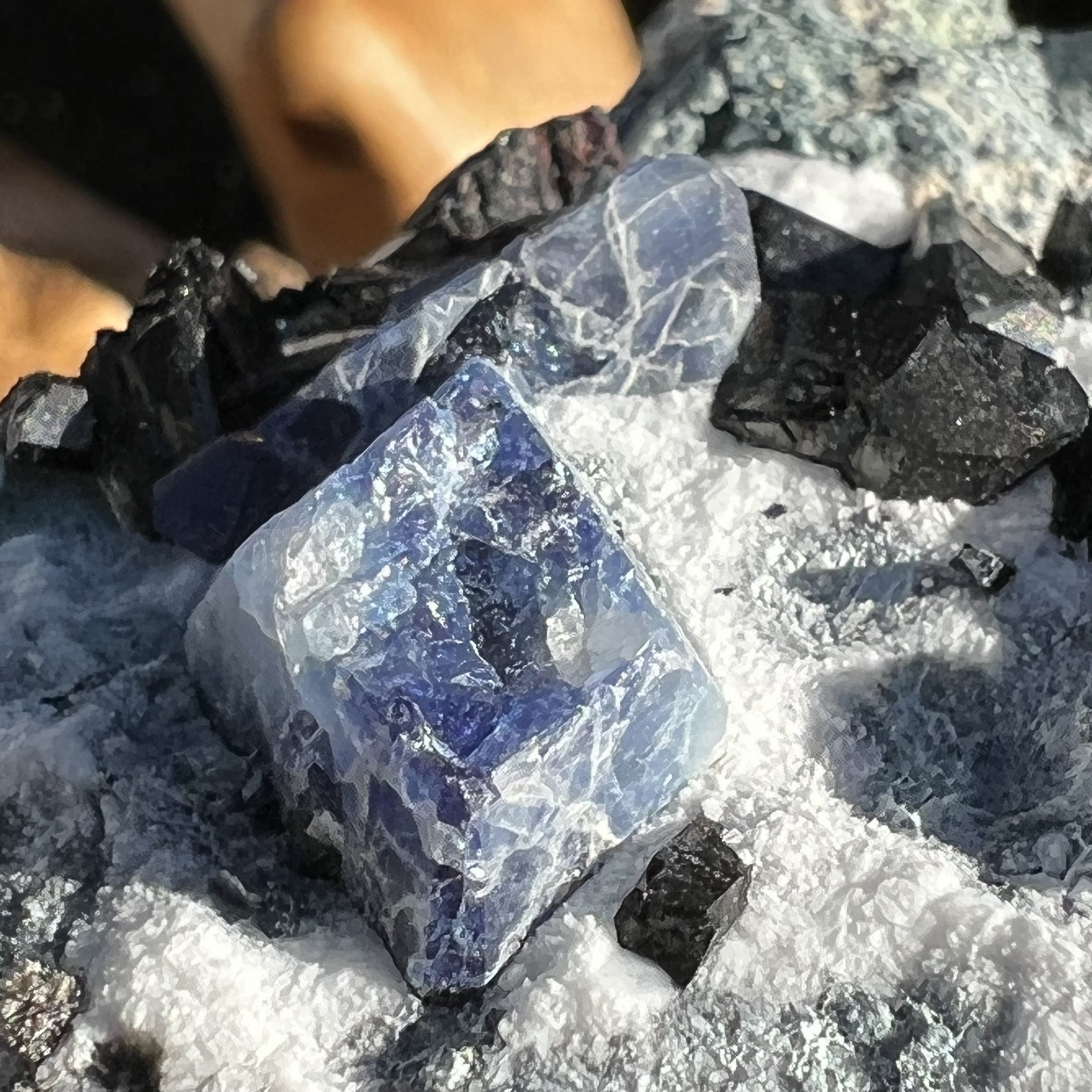 Benitoite, Neptunite, Natrolite, & Crossite-Moldavite Life