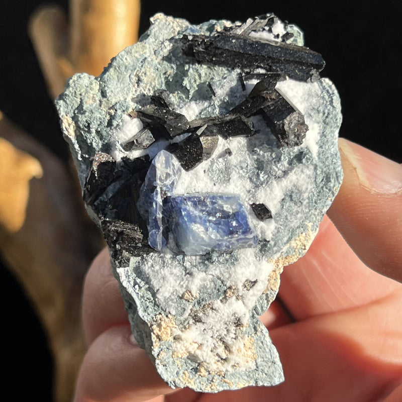 Benitoite, Neptunite, Natrolite, & Crossite-Moldavite Life