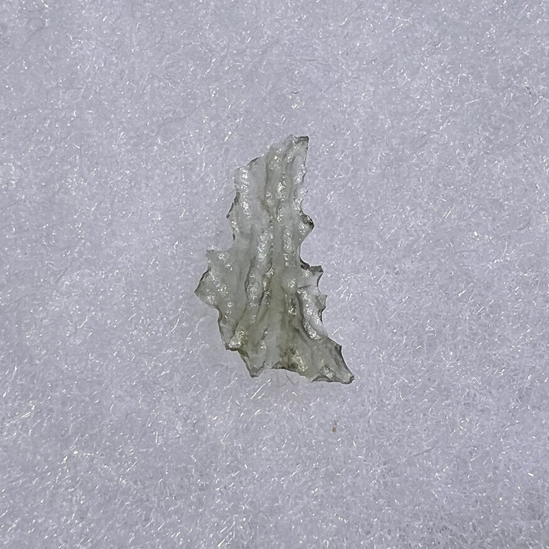 Besednice Moldavite 0.24 grams #456-Moldavite Life