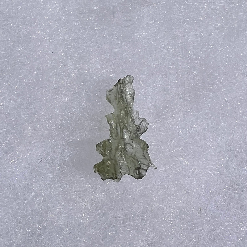 Besednice Moldavite 0.36 grams #511-Moldavite Life