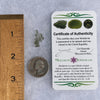 Besednice Moldavite 0.37 grams #503-Moldavite Life