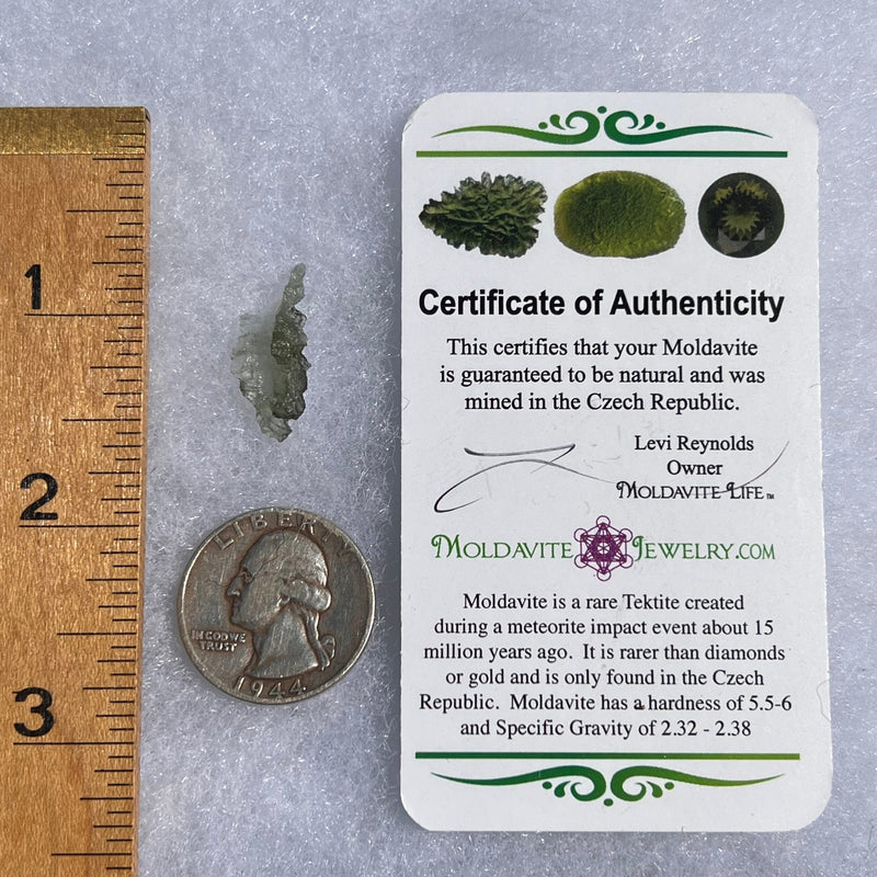 Besednice Moldavite 0.49 grams #476-Moldavite Life