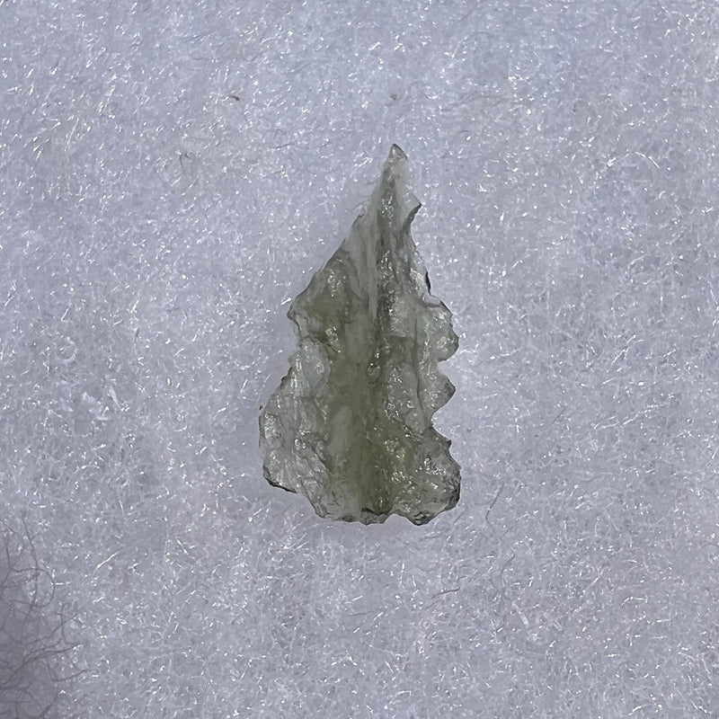 Besednice Moldavite 0.5 grams #361-Moldavite Life