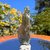 Besednice Moldavite 0.5 grams #365-Moldavite Life