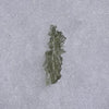 Besednice Moldavite 0.53 grams #460-Moldavite Life