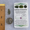 Besednice Moldavite 0.59 grams #457-Moldavite Life