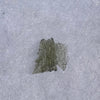 Besednice Moldavite 0.6 grams #357-Moldavite Life