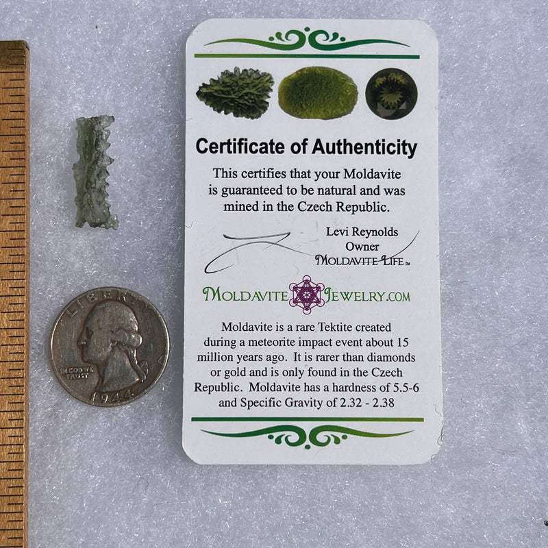 Besednice Moldavite 0.6 grams #363-Moldavite Life