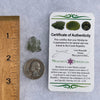 Besednice Moldavite 0.6 grams #377-Moldavite Life