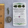 Besednice Moldavite 0.63 grams #455-Moldavite Life