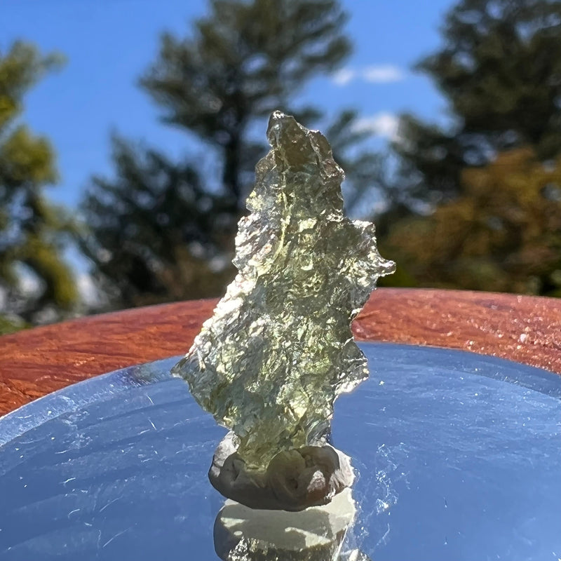Besednice Moldavite 0.64 grams #400-Moldavite Life