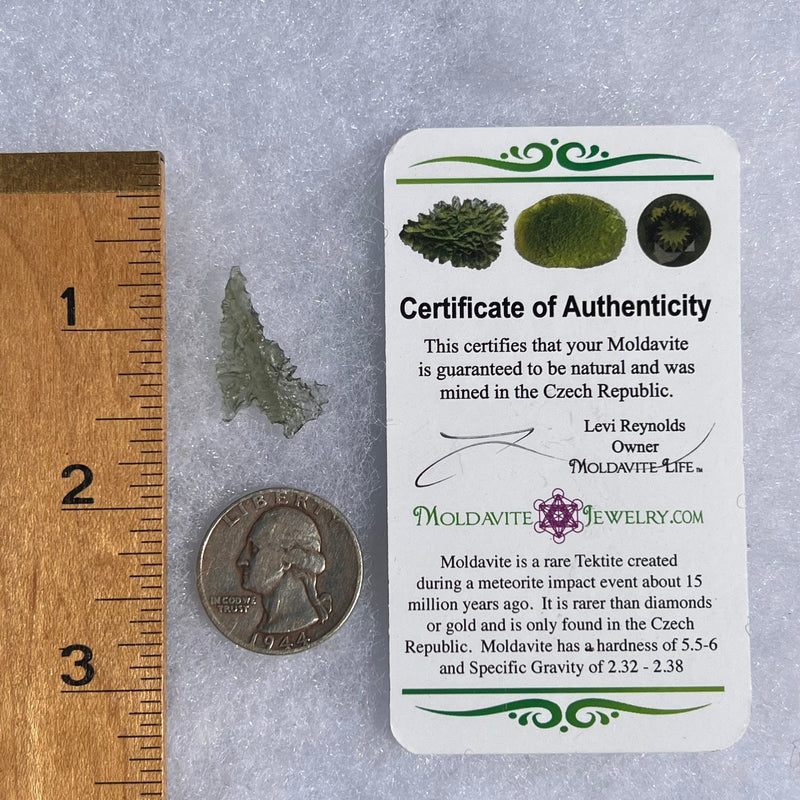 Besednice Moldavite 0.64 grams #501-Moldavite Life