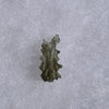 Besednice Moldavite 0.65 grams #506-Moldavite Life