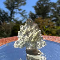 Besednice Moldavite 0.7 grams #376-Moldavite Life