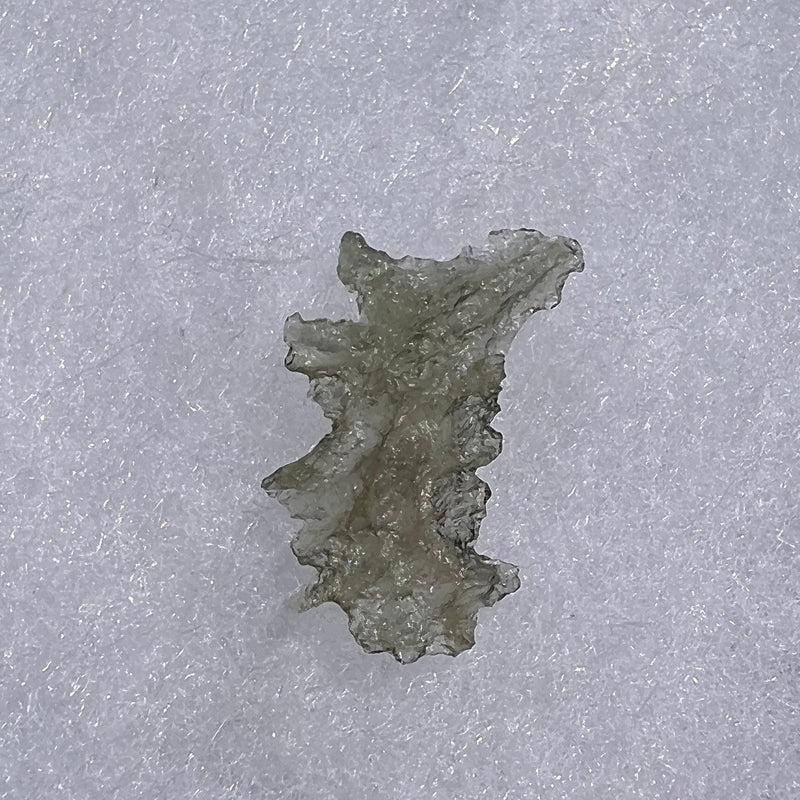 Besednice Moldavite 0.70 grams #473-Moldavite Life