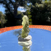 Besednice Moldavite 0.72 grams #427-Moldavite Life
