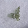 Besednice Moldavite 0.74 grams #521-Moldavite Life