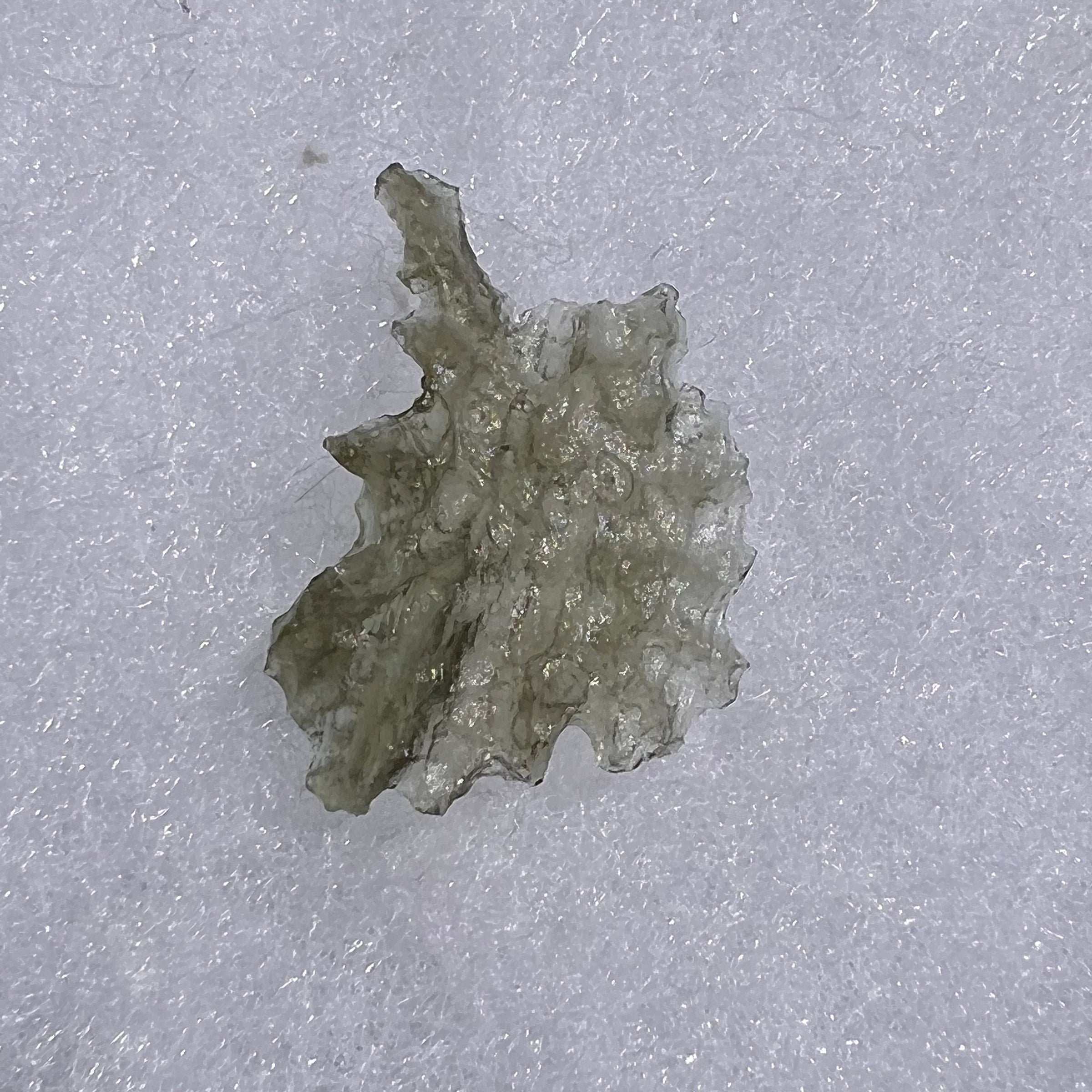 Besednice Moldavite 0.77 grams #458-Moldavite Life
