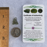 Besednice Moldavite 0.79 grams #490-Moldavite Life