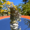 Besednice Moldavite 0.8 grams #350-Moldavite Life