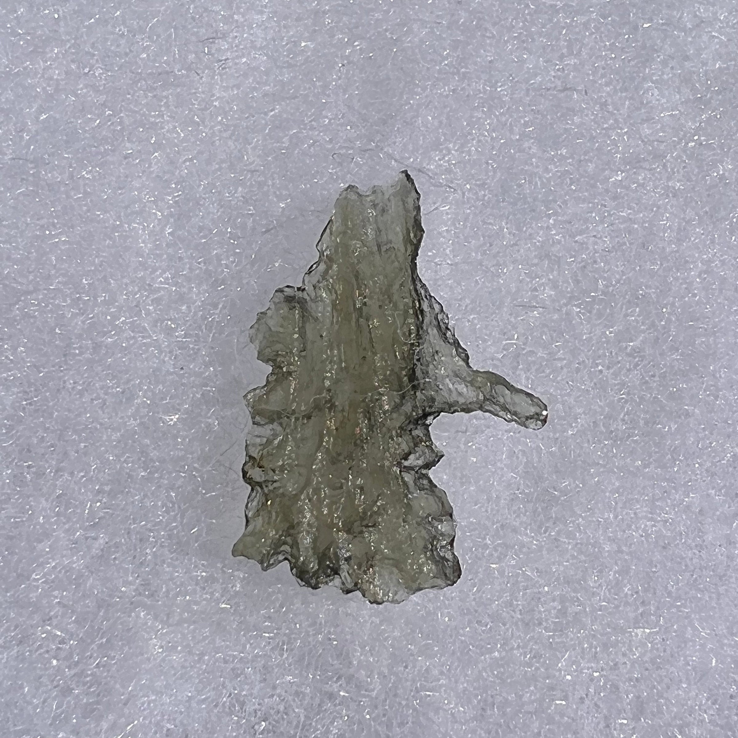 Besednice Moldavite 0.80 grams #522-Moldavite Life