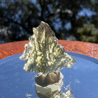 Besednice Moldavite 0.81 grams #468-Moldavite Life