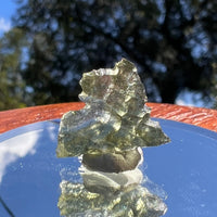 Besednice Moldavite 0.82 grams #465-Moldavite Life