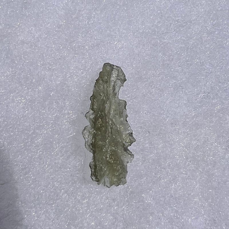 Besednice Moldavite 0.83 grams #413-Moldavite Life