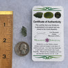Besednice Moldavite 0.83 grams #437-Moldavite Life
