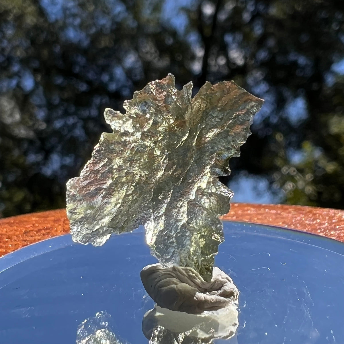 Besednice Moldavite 0.84 grams #471-Moldavite Life