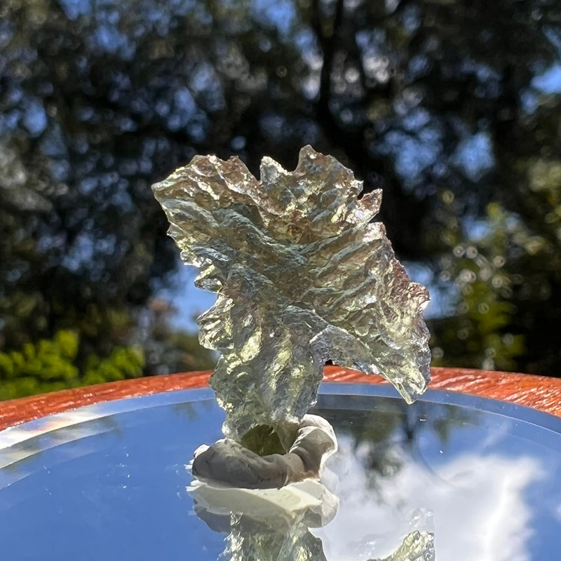 Besednice Moldavite 0.84 grams #471-Moldavite Life