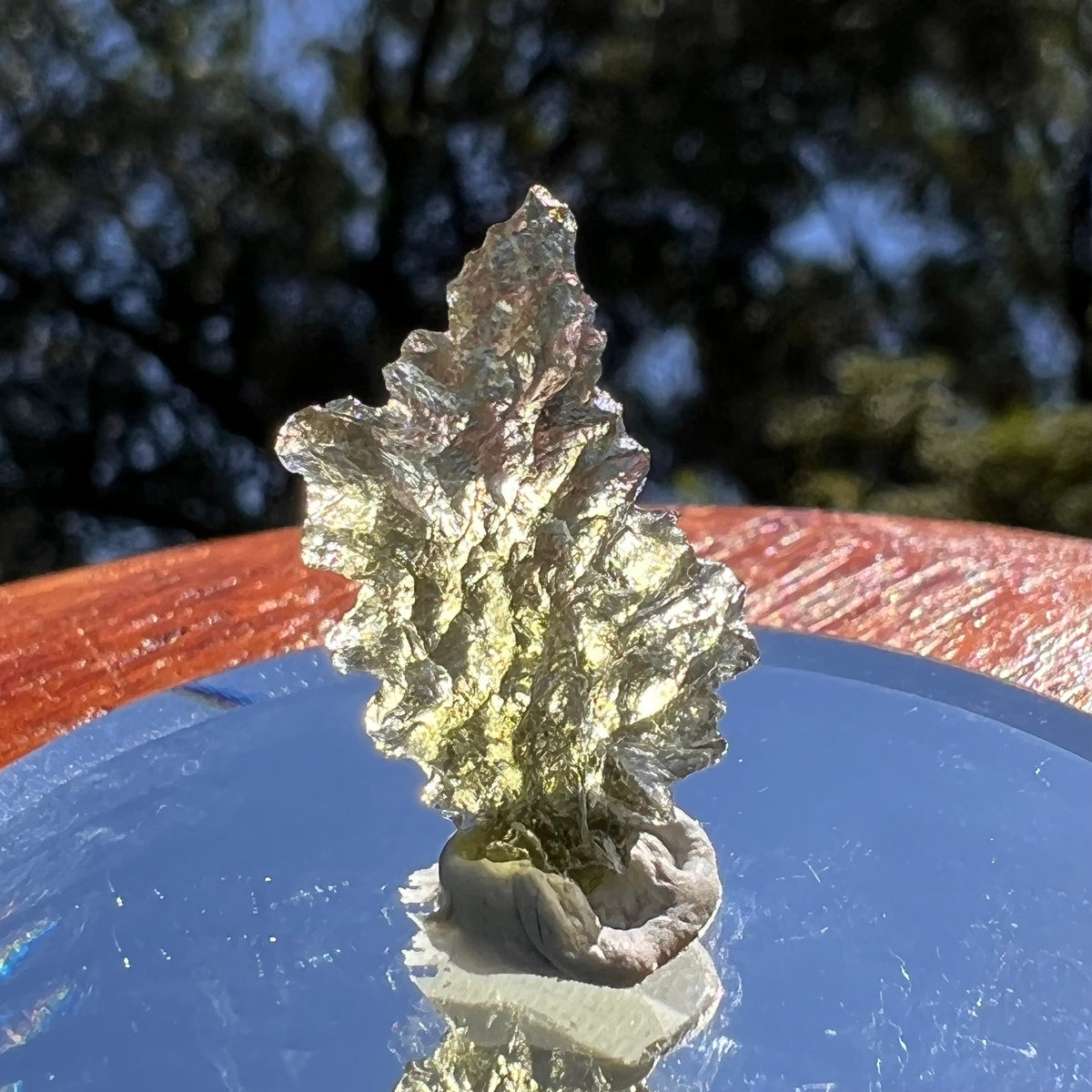 Besednice Moldavite 0.85 grams #459-Moldavite Life