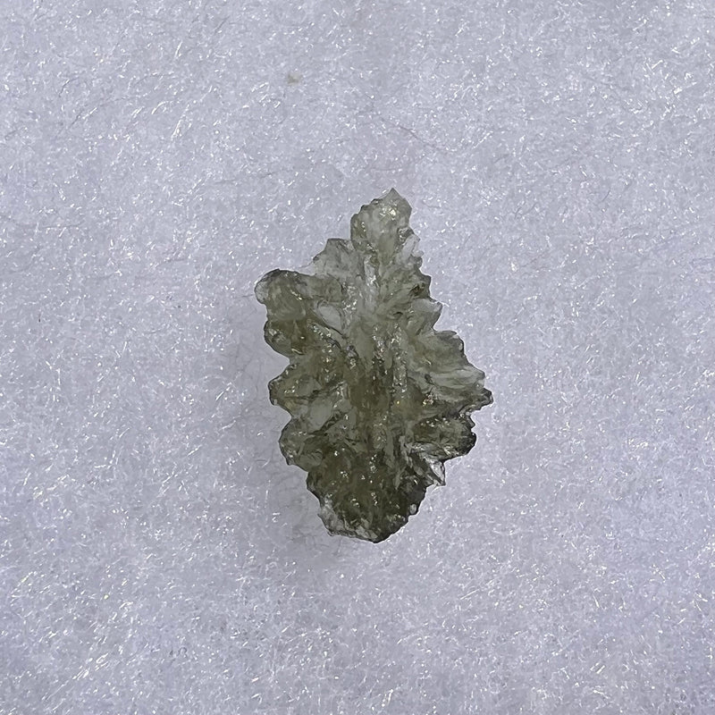 Besednice Moldavite 0.85 grams #459-Moldavite Life