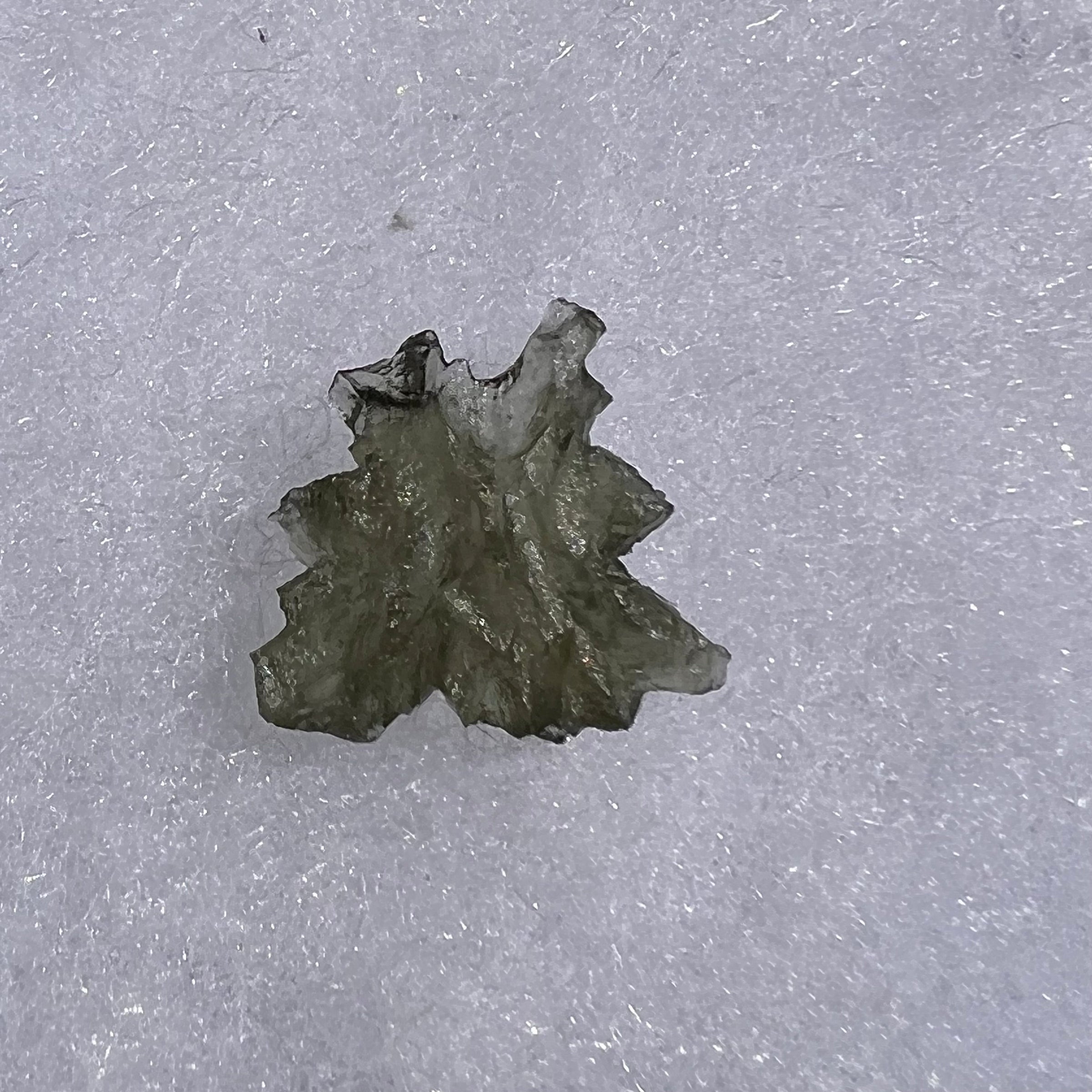 Besednice Moldavite 0.86 grams #452-Moldavite Life