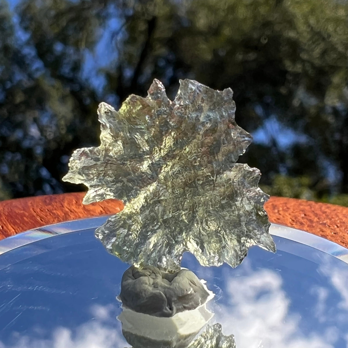 Besednice Moldavite 0.9 grams #517-Moldavite Life