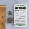 Besednice Moldavite 0.91 grams #397-Moldavite Life