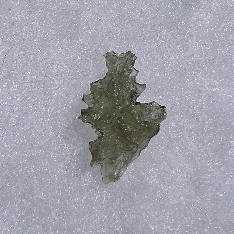 Besednice Moldavite 0.91 grams #479-Moldavite Life
