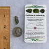 Besednice Moldavite 0.95 grams #393-Moldavite Life